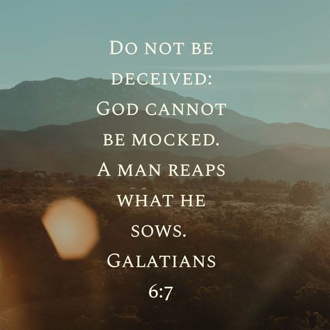 Do not be deceived: God can not be mocked. A man reaps what he sows. Galatians 6:7 A Man Reaps What He Sows, Mocking God Quotes, Do Not Mock God, Do Not Be Deceived God Is Not Mocked, God Cannot Be Mocked, Galatians 6 7, Hope In Jesus, Do Not Be Deceived, Truth Serum