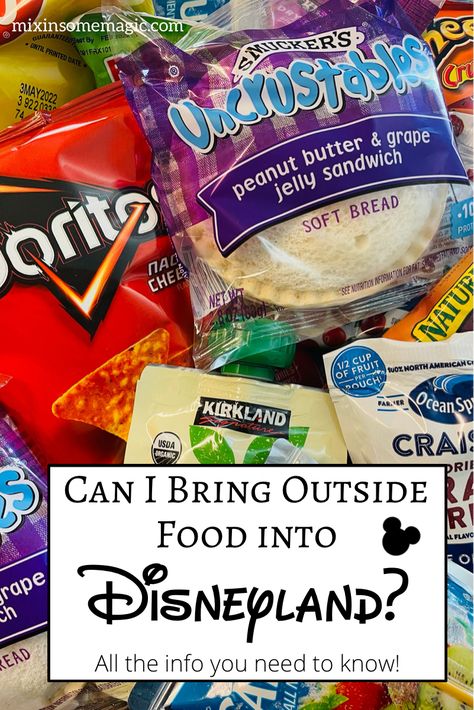 Can you bring outside food into Disneyland? The answer is, yes! There are a few exceptions. I've got all the info you need here. Disneyland Snack Ideas, Snack Ideas For Disneyland, Packing Food For Disneyland, Snacks To Take To Disneyland, Food To Bring To Disneyland, Snacks To Pack For Disneyland, Disneyland Snacks 2023, Food To Bring To Disney World, Packing Food For Disney World