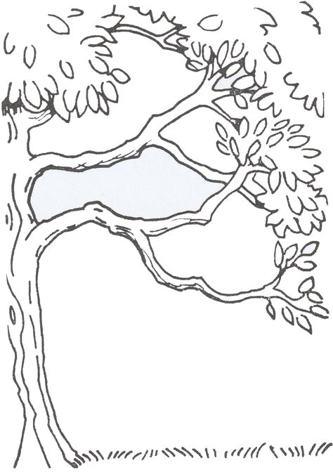 tree Drawn Trees Drawings, Outline Tree Drawing, The Giving Tree Drawing, Half Tree Drawing, Side Tree Drawing, Fall Trees Drawing, Tree Background Drawing, Tree Sketches Simple, Cute Tree Drawing