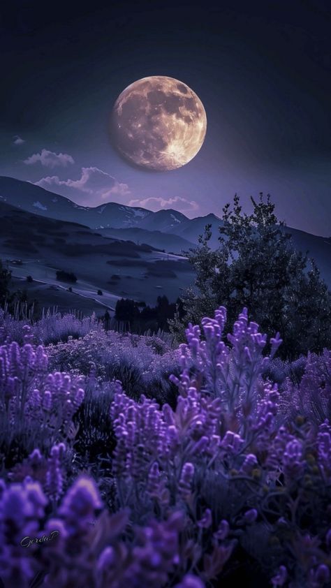 Free as the wind — Buonanotte sogni d'oro a tutti...🌖💫💤😘 Lilac Wallpaper Aesthetic Iphone, Lilac Wallpaper Aesthetic, Lilac Wallpaper, Whatsapp Background, Night Scenes, Moon Wallpaper, Iphone Backgrounds, Neon Wallpaper, Wall Papers