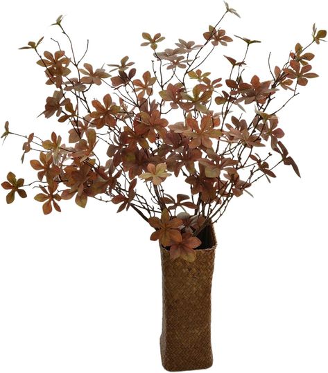 Amazon.com: NuT's 3pcs Artificial Eucalyptus Leaves, Greenery,Home Decor Flowers, Silk Flowers, Fake Flowers for Coffee Table, Living Room,Dining Table, Autumn Spring Winter (3pcs Brown) : Home & Kitchen Greenery Home Decor, Living Room Dining Table, Coffee Table Living Room, Dining Table In Living Room, Artificial Eucalyptus, Decor Flowers, Table Living Room, Eucalyptus Leaves, Fake Flowers