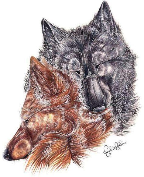 Wolf Mates, Sketch Model, Anime Wolves, Wood Burn Designs, Wolf Stuff, Fantasy Wolf, Fox Tattoo, Wolf Drawing, Wolf Pictures