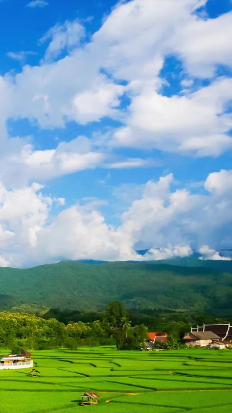 Download the rice fields in the rainy season and the movement of clouds in blue sky. time lapse video 24776179 royalty-free Stock Video from Vecteezy and explore thousands of other stock footage clips! Rice Fields, Time Lapse Video, Free Stock Video, Rainy Season, The Movement, Time Lapse, Stock Video, Stock Footage, Blue Sky