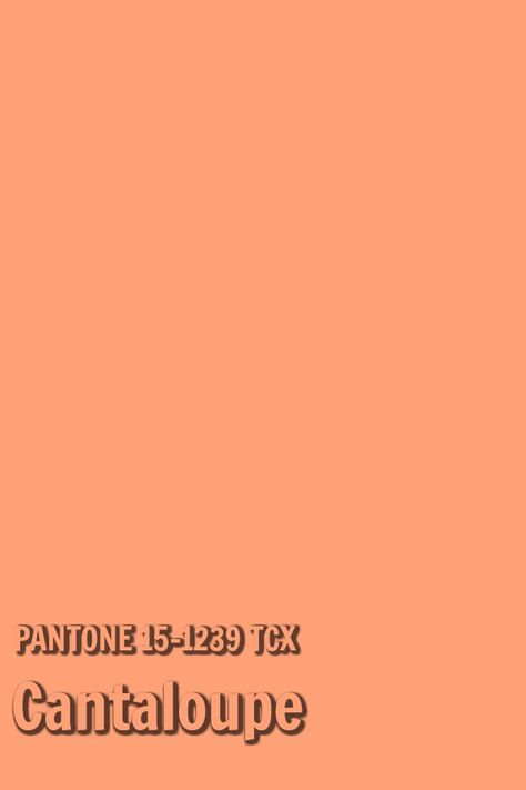 Pantone Cantaloupe Room Colors Ideas, Orange Pantone, Pantone Orange, Green Pantone, Withered Rose, Pantone 2015, Cadmium Orange, Snorkel Blue, Shoes Decor