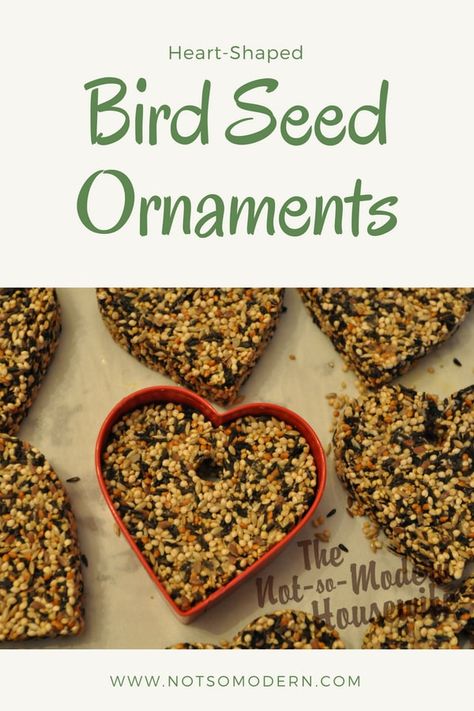 Handmade birdseed ornaments are a great way to dress up the outdoors. This easy birdseed ornament recipe allows you to make them in any shape you choose, then decorate them with creamy peanut butter and Nyjer bird seed. #songbirds #diy #craft #notsomodern Bird Seed Crafts, Bird Seed Ornaments Recipe, Seed Ornaments, Birdseed Ornaments, Animal Tips, Gardening Club, Homestead Blog, Bird Seed Ornaments, Bird Feeding Station