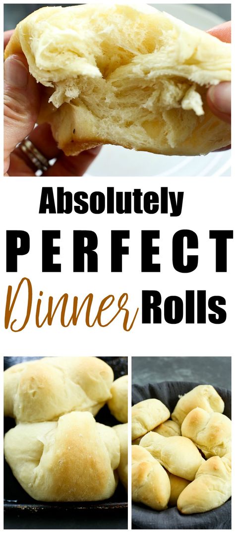 Perfect Bread Machine Dinner Rolls. #Thanksgivingrecipes #christmasrecipes #homemadebread via @Maryea Flaherty Bread Machine Dinner Rolls, Honey Yeast Rolls, Best Dinner Rolls, Dinner Roll, Best Dinner, Homemade Dinner Rolls, Yeast Rolls, Dinner Rolls Recipe, Bread Machine Recipes