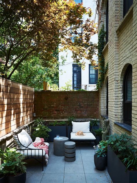 Small outdoor patio design Brooklyn Backyard, Backyard Goals, Home Garden Ideas, Brooklyn Home, Skylight Design, Evergreen Hedge, New Staircase, Front Yards, Brooklyn Heights