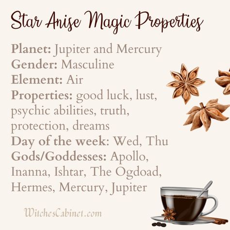 Star Anise Magic Properties and Uses in Kitchen Witchcraft Star Anise Witchcraft, Star Anise Tea Benefits, Star Anise Magical Properties, Star Anise Benefits, Witchy Plants, Kitchen Witchcraft, Winter Witch, Witch Tools, Witch Tips