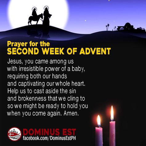 Second Sunday Of Advent Peace, Second Week Of Advent, Second Sunday Of Advent, Advent Catholic, Birthday Wishes For A Friend Messages, Advent Prayers, First Sunday Of Advent, Sunday Worship, Blessed Sunday