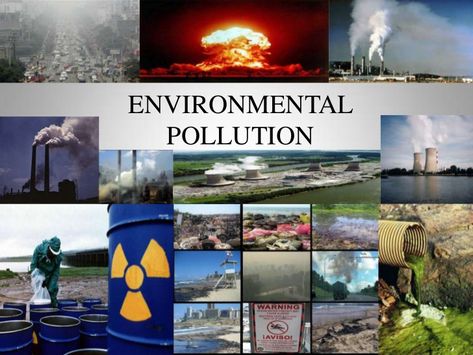 ENVIRONMENTAL  POLLUTION My Teacher Essay, Short Essay, Persuasive Essays, Environmental Pollution, Essay Topics, Human Activity, Environmental Issues, Environmental Science, Air Pollution