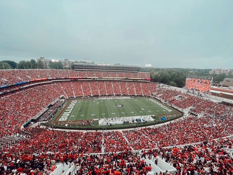 Sanford Stadium, Ga Bulldogs, College Board, Dream College, Georgia Bulldogs, Baseball Field, Bulldog, Georgia, Football