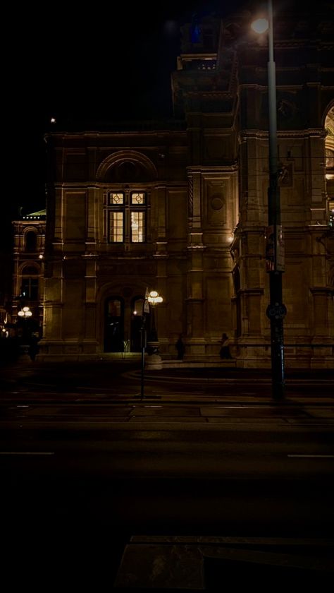 #aesthetic #darkacademia #viennacity #darkaesthetics #baroque #palace #latenightdrives Dark Palace Aesthetic, Dark Palace, Palace Aesthetic, Baroque Palace, Late Night Drives, Aesthetic Things, Dark Academia, Dark Aesthetic, Vienna