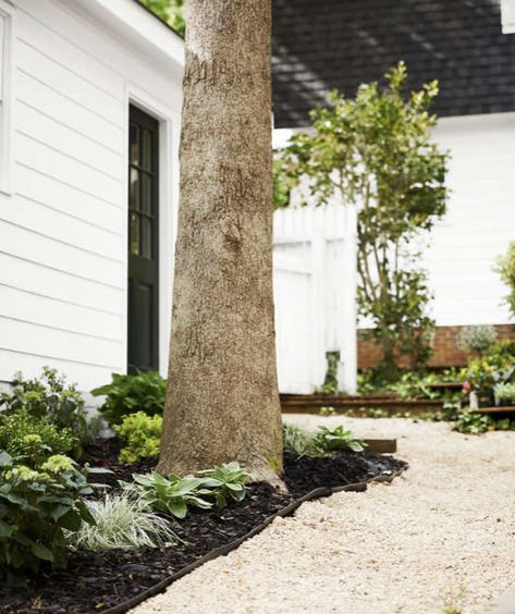 Pea Gravel Path, Midwest Backyard, Baby Gem Boxwood, Sustainable Yard, Low Water Landscaping, Online Landscape Design, White Popcorn, Endless Summer Hydrangea, Tuff Shed