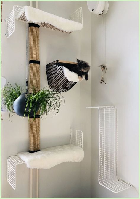 Hidden Cat Shelves, Cat Tree On Wall, Cute Cat Furniture, Cat Corner Ideas, Catification Ideas Diy, Cat Wall Ideas, Cat Interior Design, Catify Your Home, Apartment Cat Ideas