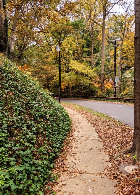 Kalorama Rd, Washington DC. Photo by: Luanna Falcão Kalorama Washington Dc, Washington Dc, Washington, Country Roads, Road