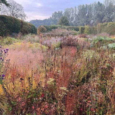 Borrow from the Best - How to Bring Dutch Garden Design Style into your Garden Piet Oudolf Garden, Oudolf Garden, Dan Pearson, Naturalistic Garden, Dutch Gardens, Habitat Garden, Piet Oudolf, Perennial Grasses, Prairie Garden