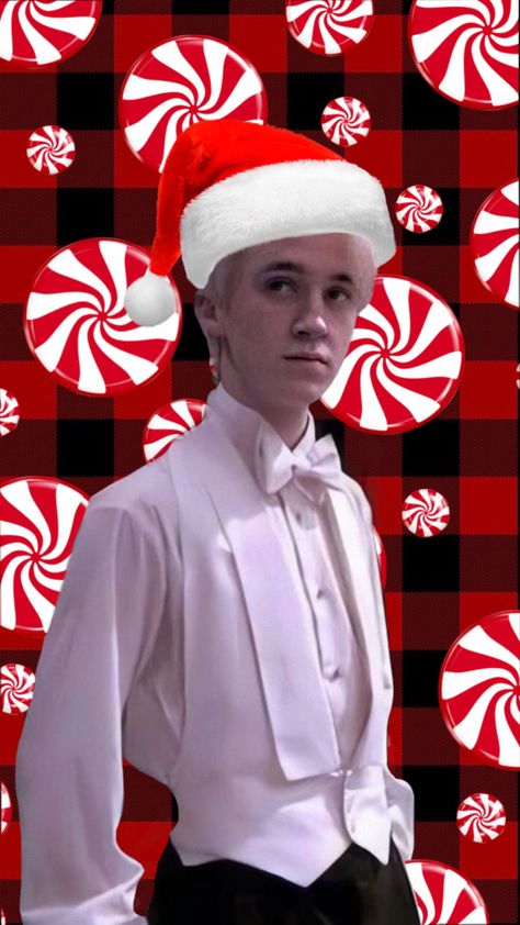 Christmas Draco Malfoy, Draco Malfoy Christmas, Draco Tok, Draco Malfoy Funny, Christmas Pfps, Harry Potter Christmas, Tom Felton, Harry Potter Fan Art, Harry Potter Fan