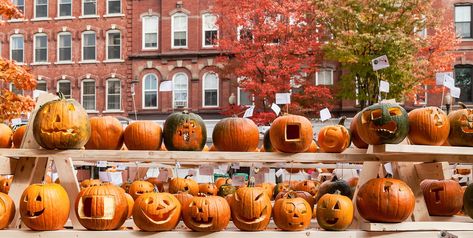 15 Spookiest Towns in America to Visit for Halloween Best Pumpkin Patches, Ghost Sightings, Halloween Travel, Visit Orlando, Visit New Orleans, Cities To Visit, Spooky Places, Spooky Town, Ghost Tour