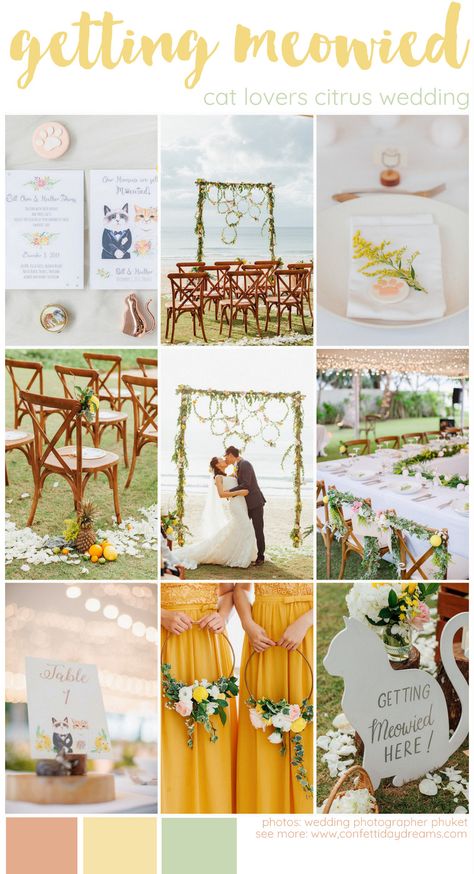 Cat lovers wedding theme in citrus color scheme of lime and yellow with touches of peach From cat-themed wedding invitations to paw-print cookies as guest favors, and cat-themed order of service paddles which doubled as fans. There was a cat-shaped ‘We’re getting meowied’ silhouette at the altar and table numbers illustrated with bride and groom cats. http://www.confettidaydreams.com/cat-lovers-wedding-theme/  #beachwedding #catwedding #gettingmeowied #destinationwedding #wedding #citruswedding Cat Themed Wedding, Beach Wedding Reception Decor, Getting Meowied, Beach Wedding Arch, Beach Wedding Decorations Reception, Wedding On The Beach, Guest Favors, Citrus Wedding, Beach Wedding Reception