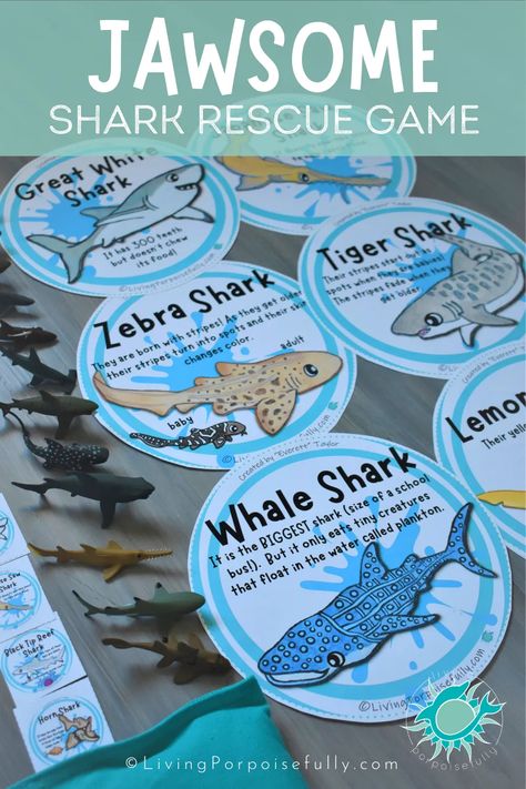 Ocean Crafts For Kids, Shark Week Crafts, Jawsome Shark, Shark Activities, Shark Week Party, Shark Games, Shark Craft, Shark Facts, Shark Themed Birthday Party