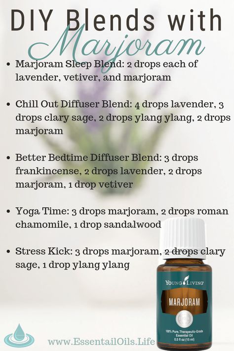 20+ Marjoram Essential Oil Uses and Benefits (Plus FAQ) Marjoram Essential Oil, Essential Oil Education, Essential Oils For Pain, Essential Oil Diffuser Blends Recipes, Essential Oil Blends Recipes, Essential Oil Benefits, Essential Oil Diffuser Blends, Essential Oil Roller, Young Living Oils