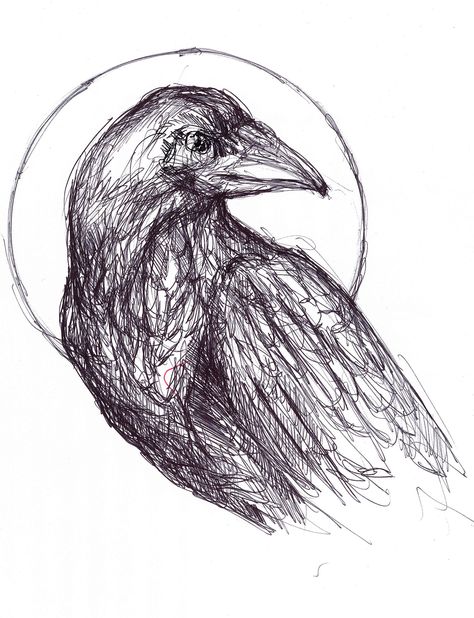 Drawings In Pen, Ballpoint Pen Drawing, Pen Drawings, A Crow, In The Moon, Pen Drawing, Ballpoint Pen, Animal Drawings, Colored Pencils