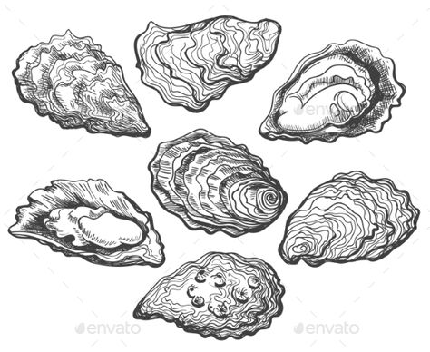 How To Draw Oyster Shells, Oyster Tattoo Ideas, Oysters Tattoo, Oysters Illustration, Oyster Shell Drawing, Oyster Shell Tattoo, Oyster Drawing, Oyster Illustration, Oyster Tattoo