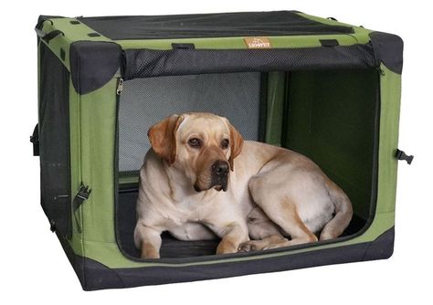 LIOOPET 4 Door Quick Portable Folding Dog Crate Kennel with Mesh Mat for Indoor and Outdoor Travel Dog, Dog Crates, Dog Door, Dog Travel, Dog Kennel, Dog Crate, Medium Dogs, Siding, Pet Supplies