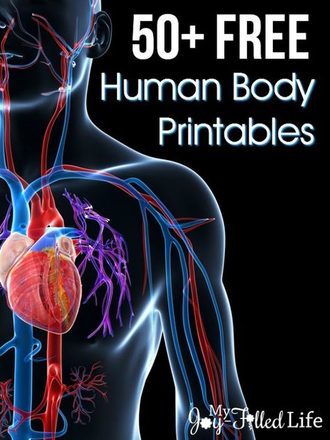 50+ FREE Human Body Printables Body Systems Project, Human Body Printables, Human Body Unit Study, Free Human Body, Human Body Science, Human Body Activities, Body Human, Human Body Unit, Anatomy Physiology