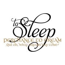 To Sleep Perchance To Dream and Oh What Dreams May Come  two color wall quotes decal To Sleep Perchance To Dream, Bedroom Wall Quotes, Decals For Walls, Wall Quotes Bedroom, Flea Market Booth, What Dreams May Come, Beautiful Bedrooms Master, Bedroom Quotes, Bedroom Decals