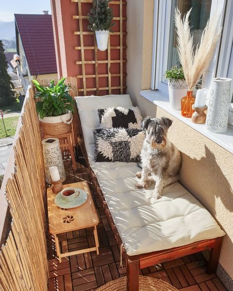 21 Cozy and Stylish Small Balcony Design Ideas French Country Balcony Ideas, Dog Balcony Apartment, Juliet Balcony Decor, Balcony Small Ideas, Klein Balkon Decor, Narrow Balcony, Small Patio Ideas, Balkon Decor, Tiny Balcony