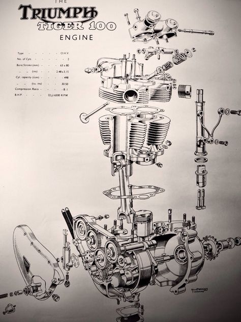 The Tiger T100 Engine. Diagram Poster, Engine Diagram, Motos Harley, Triumph Bikes, Motorcycle Repair, Bike Engine, Auto Retro, British Motorcycles, Automotive Mechanic