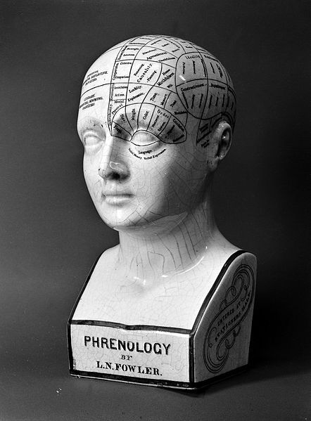 Phrenology Head, Jinkx Monsoon, Wellcome Collection, Head Art, John Waters, Head Sculpture, Antique Fairs, Halloween Inspiration, Lino Print