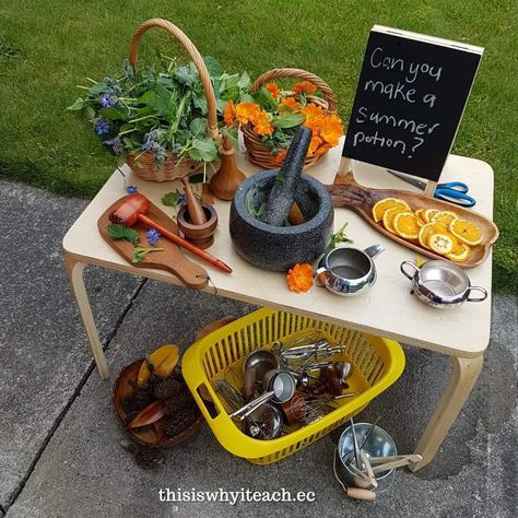 Sensory Preschool, Provocations Reggio, Why I Teach, Playgroup Ideas, Outdoor Learning Spaces, Forest School Activities, Reggio Classroom, Lala Land, Art Activities For Toddlers