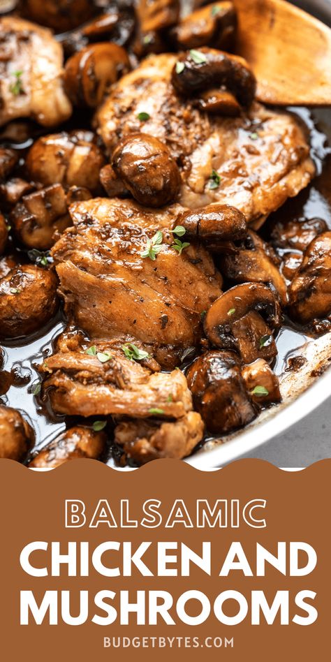 A quick buttery balsamic pan sauce brings a ton of flavor to these Balsamic Chicken and Mushrooms without a lot of work. Perfect for weeknight dinners! Balsamic Chicken Mushrooms, Mushroom Balsamic Chicken, Balsamic Chicken With Mushrooms, Chicken Thigh Recipes Balsamic, Mushroom Recipes Chicken, Balsamic Glaze Recipe Dinners, Basaltic Chicken, Chicken Thigh And Mushroom Recipes, Chicken Balsamic Recipes