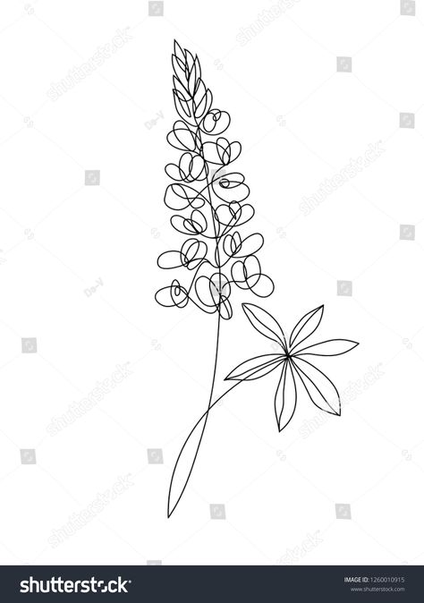 Lupine flower one line drawing. Minimalist art. #Ad , #ad, #line#flower#Lupine#art Lupine Line Art, Wisteria Line Art, Bluebonnet Line Drawing, Wisteria Symbol, Lupin Tattoo Flowers, Lupine Flower Tattoo, Lupine Flowers Tattoo, Lupin Drawing, Lupine Drawing