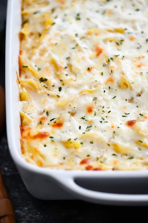 Chicken Alfredo With Cream Cheese, Alfredo With Cream Cheese, Baked Chicken Alfredo, Casserole With Cream Cheese, Chicken Bacon Ranch Bake, Alfredo Casserole, Life In The Lofthouse, Chicken Alfredo Casserole, Alfredo Bake