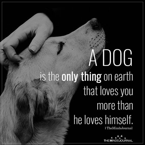 2. A dog is the only thing on earth that loves you more than you love yourself. – Josh Billings Puppies Names Female, Animal Lover Quotes, Cute Dog Quotes, Dog Lover Quotes, About Dogs, Girl And Dog, Animal Quotes, Dog Quotes, Love You More Than