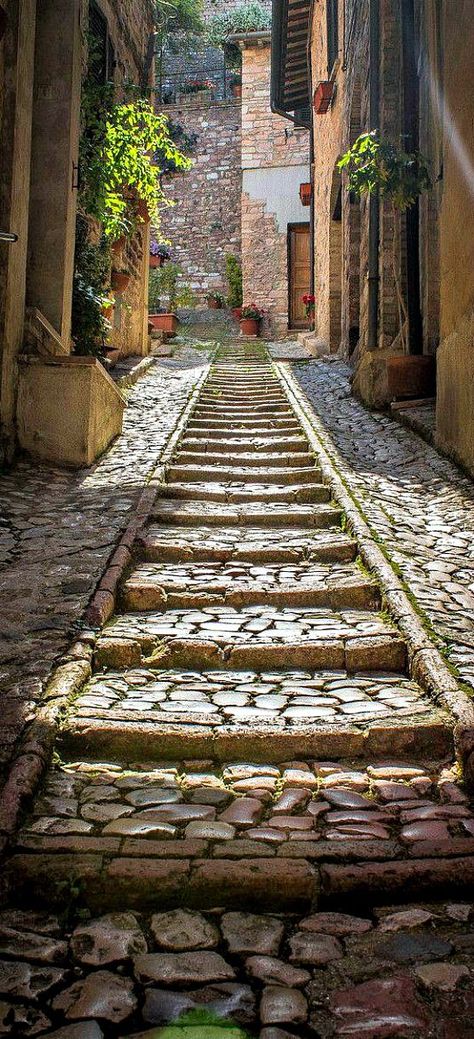 The quaint commune of Spello in Perugia, Umbria, Italy • photo: Steven Cadalt on 500px Toscana Italia, Umbria Italy, Italy Photo, Umbria, Street Scenes, Pretty Places, Places Around The World, Italy Travel, Travel Around