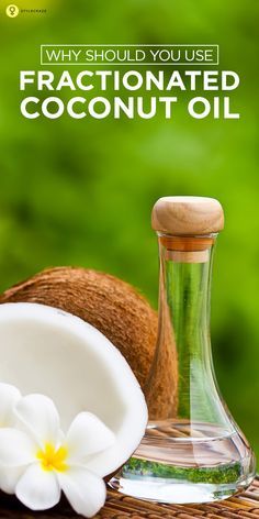 There are many plants with healing and health-boosting properties, but you will be hard-pressed to find anything that can match the coconut for its benefits and versatility. Uses Of Coconut Oil, Health Coconut Oil, Coconut Oil For Teeth, Calendula Benefits, Coconut Oil For Acne, Coconut Oil Skin Care, Coconut Oil Recipes, Coconut Oil For Face, Coconut Health Benefits