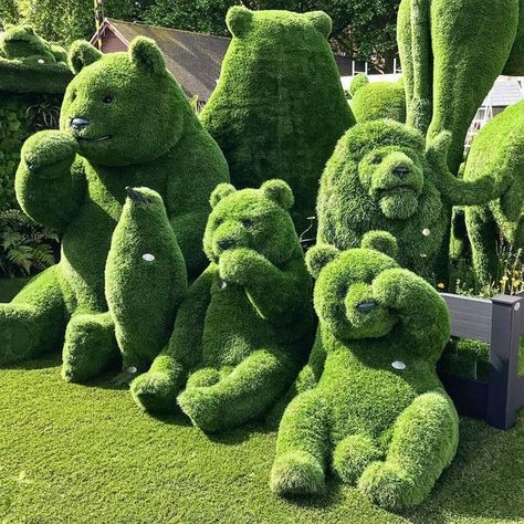 Creatividad Verde Topiary Garden, Charcoal Drawings, Grasses Garden, Chelsea Flower, The Grass, Dream Garden, Teddy Bears, Amazing Gardens, Urban Art