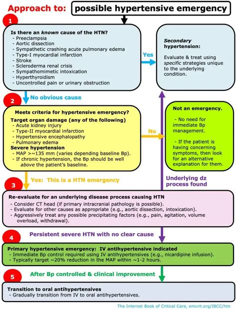 Hypertensive emergency - EMCrit Project Hypertensive Crisis, Intracranial Hemorrhage, Subarachnoid Hemorrhage, Intracranial Pressure, Acute Kidney Injury, Medical Student Study, Medical School Studying, Medical School Essentials, Emergency Medicine