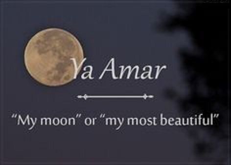 "Ya Amar - "My moon" or "my most beautiful" - #yaamar #ya #amar #my #moon #most #beautiful #words #vocabulary Arabic Words Aesthetic, Urdu Words With Meaning, Word Inspiration, Latin Phrases, Uncommon Words, Urdu Love Words, Weird Words, Unusual Words, Rare Words