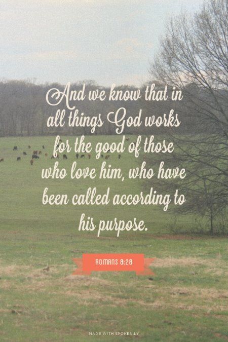 Romans 8:28 And We Know That In All Things God Works, In All Things God Works For The Good, Holy Orders, Serving God, Serve God, God Is Great, Romans 8, Bible Truth, Favorite Bible Verses