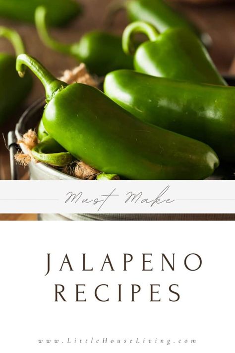 Have jalapenos that need to be used, or are you just ready to add a zesty twist to your meals? Look no further than this blog post! These mouthwatering jalapeno recipes are perfect for those times when you have plenty of jalapenos that need to be used up. Farmhouse Recipes, Jalapeno Recipes, Dehydrated Food, Old Fashioned Recipes, Pepper Sauce, Food Stuff, Canning Recipes, Vintage Recipes, Fresh Vegetables