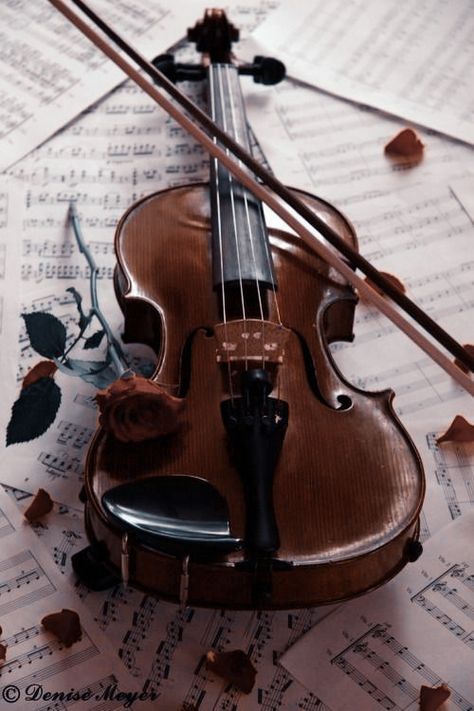 Old Violin, Violin Art, Learn Violin, Violin Music, The Infernal Devices, Foto Art, Music Aesthetic, Tumblr Wallpaper, Violinist