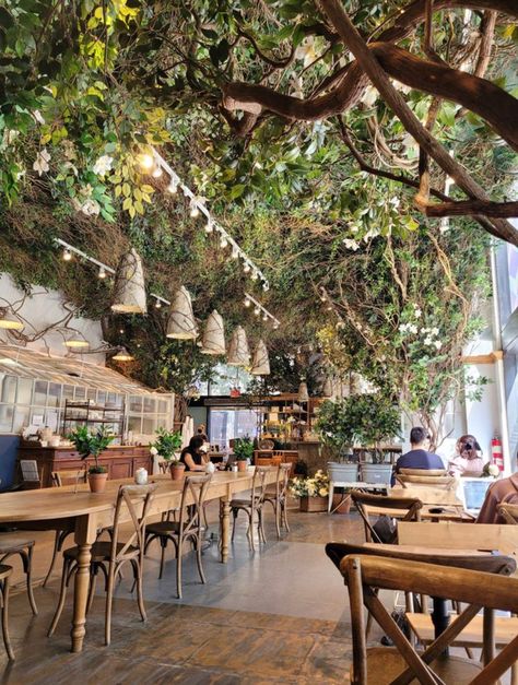 Plant Nursery Coffee Shop, Forest Bakery Aesthetic, Botanical Restaurant Interior, Plant Nursery Cafe, Plant Cafe Interiors Coffee Shop, Garden Theme Restaurant, Fairy Cafe Aesthetic, Botanical Coffee Shop, Rainforest Cafe Aesthetic