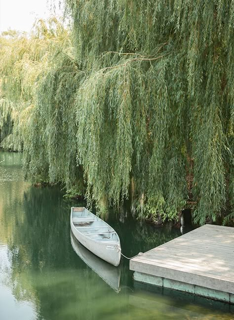 dreamy earthy vibes and aesthetic. the white canoe is goals af. Sage Core Aesthetic, Soft Green And Blue Aesthetic, Aesthetic Green Photos, Katie Core Aesthetic, Sage Green Nature, Sage Core, Katie Core, May Aesthetic, Aesthetic Sage Green