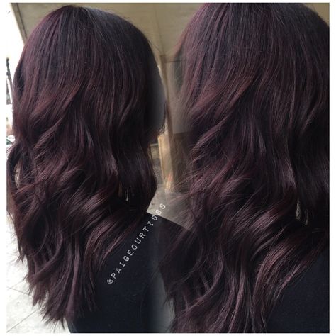 Dark violet hair. Violet Brunette Hair Color, Mocha Violet Hair Color, Dark Brown Violet Hair, Purplish Brown Hair, Hair With Violet Undertones, Brown Violet Hair, Violet Undertone Hair, Dark Purple Undertone Hair, Dark Brown Hair With Purple Tint