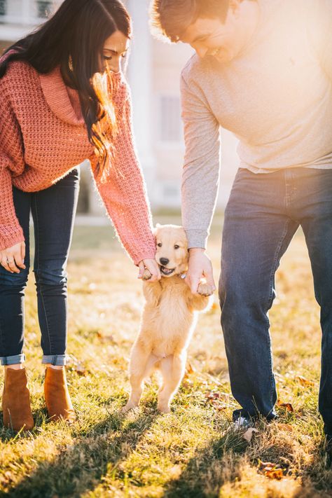 Prewedding With Dog, Dog Parents Photoshoot, Photoshoot Ideas With Dogs, Puppy Photoshoot Ideas, Couple Photoshoot With Dog, Maui Photoshoot, Family Dog Pictures, Golden Retriever Puppy Christmas, Photoshoot With Dog